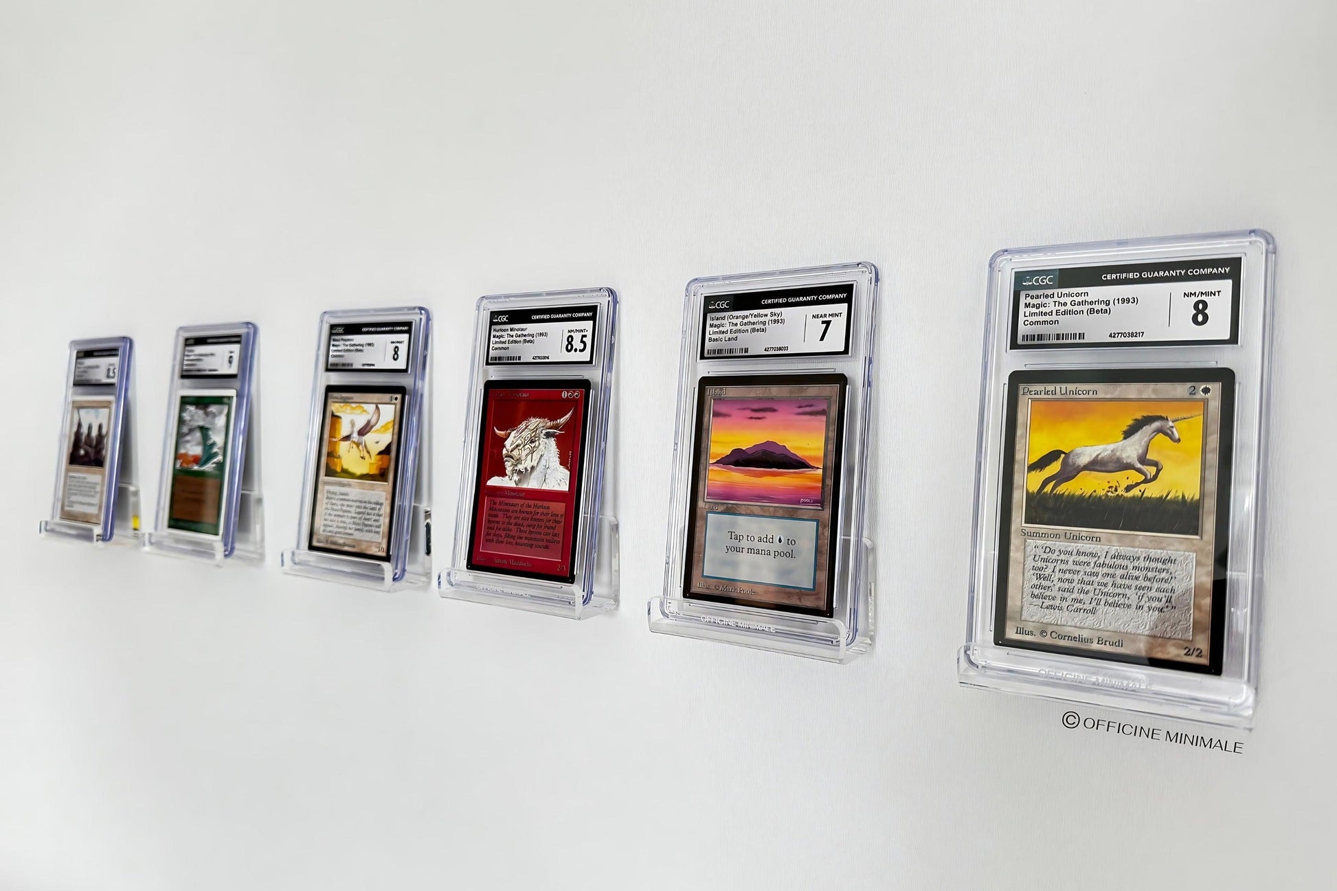 Collection of trading cards in protective cases on a white wall